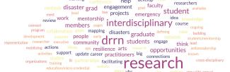 DRRN wordcloud from planning discussion