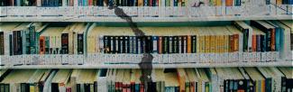 image collage of a crack running through books on a shelf