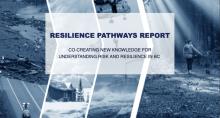 Blue-gray images of disaster scenarios with the title Resilience Pathways Report on top