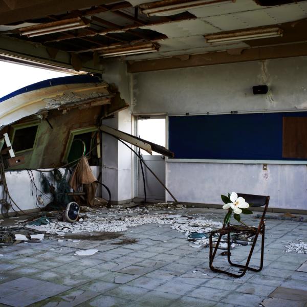 Flower on a chair in an empty room, a wrecked boat resting in the window